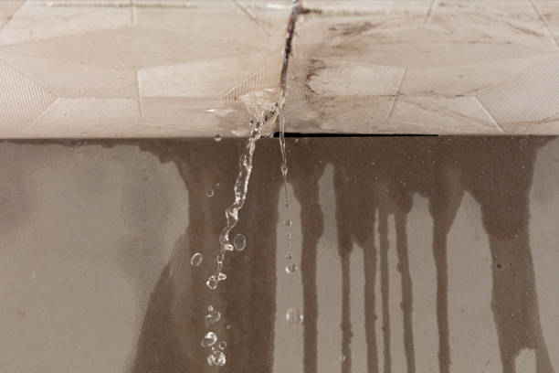 Professional Burst Pipe Cleanup technician working in Brookhaven, MS